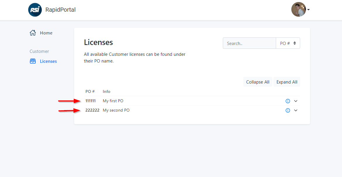 This customer only contains 2 Purchase Orders in total with custom info.